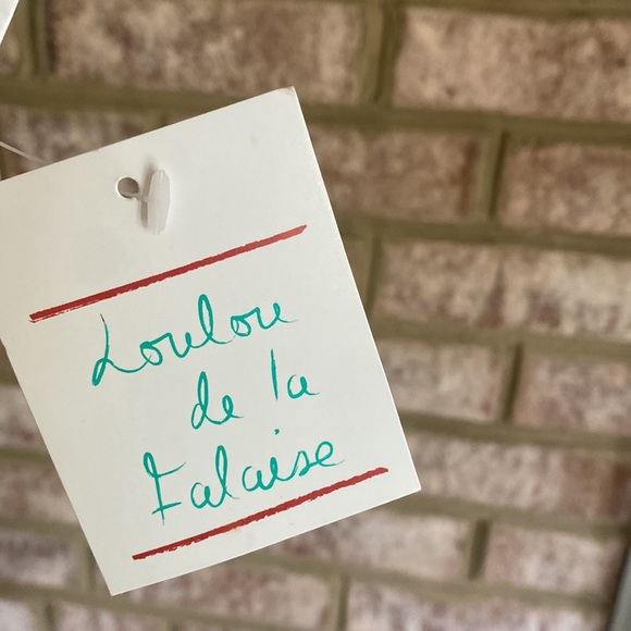 LOULOU DE LA FALAISE DESIGNER BELTED DRESS 2X NEW LAGENLOOK - Picture 2 of 12